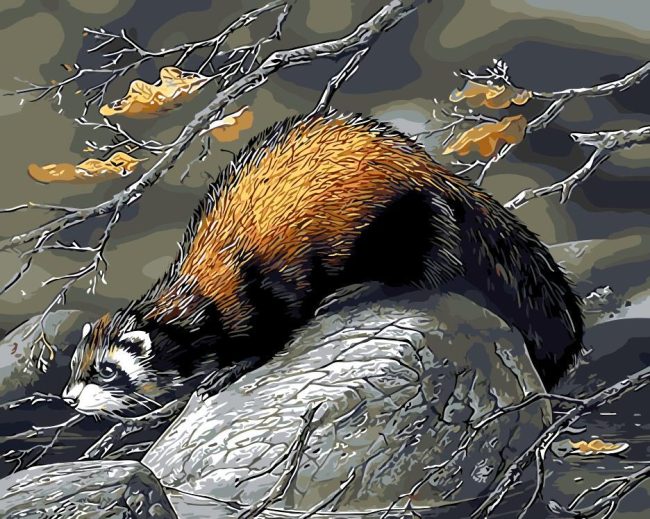 Beaver Animal Art Paint By Numbers