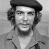 Che Guevara Black and White Paint By Numbers