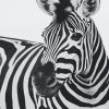 Zebra African Beauty Paint By Numbers