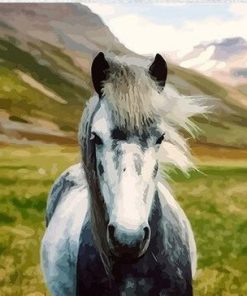 Wild Stallion Paint By Numbers
