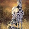 Zebra Wildlife Art Paint By Numbers