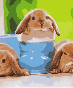 Baby Rabbit Animal Paint By Numbers