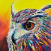 Rainbow Owl Colorful Birds Paint By Numbers