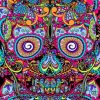 Colorful Abstract Skulls Paint By Numbers