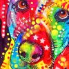 Abstract Colorful Dog Paint By Numbers