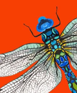 Aesthetic Dragonfly Paint By Numbers