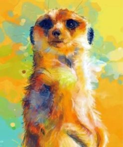 Meerkat Wildlife Paint By Numbers