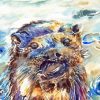 Abstract Otter Water Art Paint By Numbers