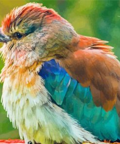 Colorful Roller Bird Paint By Numbers