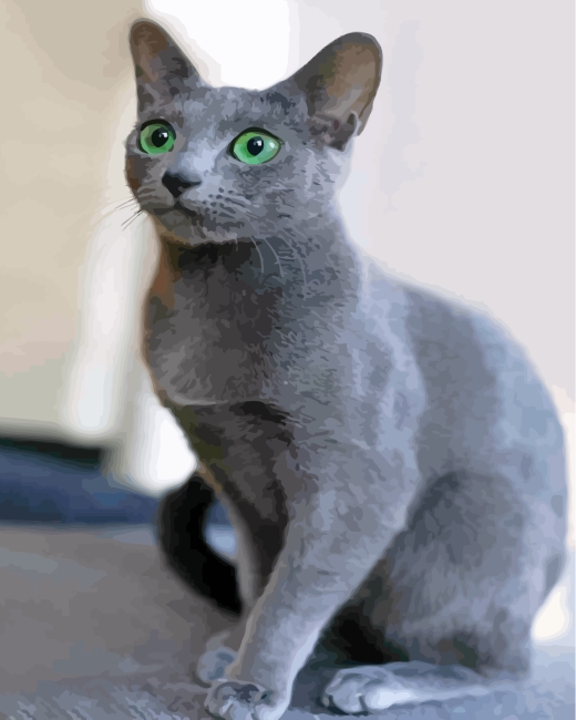 Finalizing Russian Blue Cat Paint By Numbers Artwork