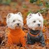 Sweet Westie Dogs Paint By Numbers