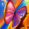 Aesthetic Butterfly Paint By Numbers