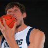 Boban Marjanovic Basketball Legend Paint By Numbers