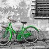 Green Bicycle Paint By Numbers