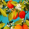 Orange Tree Nature Paint By Numbers