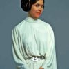 Star Wars Princess Layla Paint By Numbers