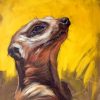 Colorful Meerkat Animals Paint By Numbers