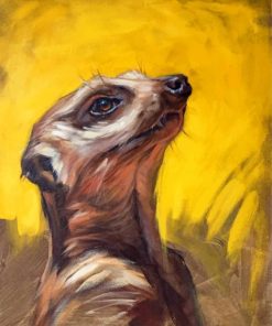Colorful Meerkat Animals Paint By Numbers