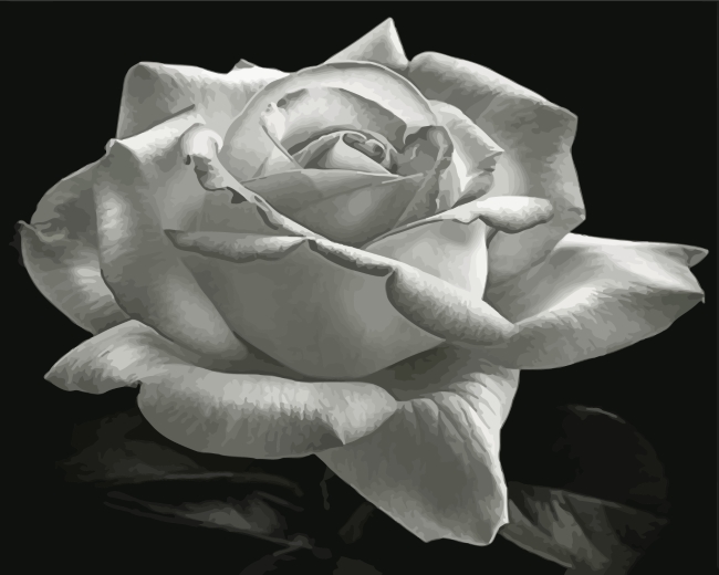 Finalizing Monochrome Rose Paint By Numbers Artwork