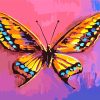 Aesthetic Butterfly Artwork Paint By Numbers