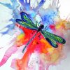 Dragonfly Serenity Paint By Numbers