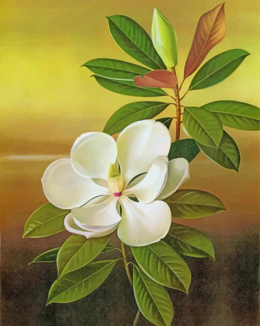 finalizing White Magnolia Flower painting