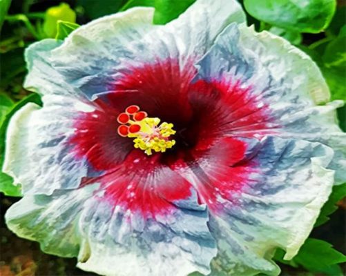Finalizing Aesthetic Hibiscus Artwork
