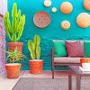 Houseplant Garden Aesthetic Paint By Numbers