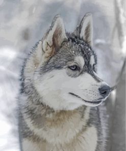 Aesthetic Husky Snow Scene Paint By Numbers