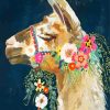 Aesthetic Llama Paint By Numbers