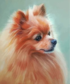 Aesthetic Pomeranian Pet Paint By Numbers