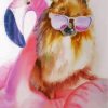 Aesthetic Pomeranian Art Paint By Numbers