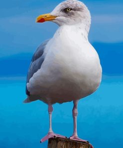 Aesthetic Seagull Paint By Numbers