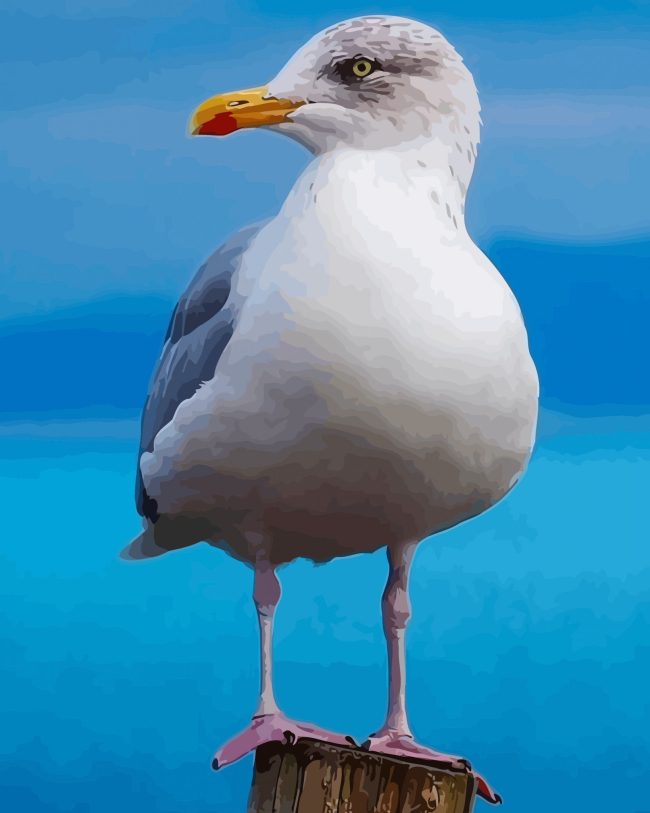 Aesthetic Seagull Paint By Numbers