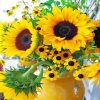 Yellow Sunflower Plants Paint By Numbers