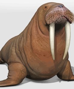 Aesthetic Walrus Painting Kit Paint By Numbers