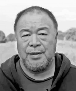 Chinese Activist Ai Weiwei Paint By Numbers