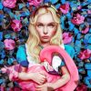 Alice Wonderland Flamingo Paint By Numbers