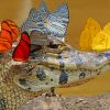 Alligator Wildlife Paint By Numbers
