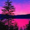 Purple Sunset Landscape Paint By Numbers