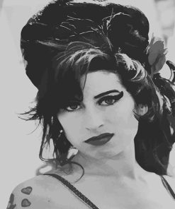 Amy Winehouse Singer Paint By Numbers