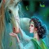 Fantasy Elf Unicorn Paint By Numbers