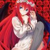 Anime Rias Gremory Japan Paint By Numbers