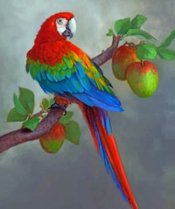Colorful Parrots and Apples Paint By Numbers
