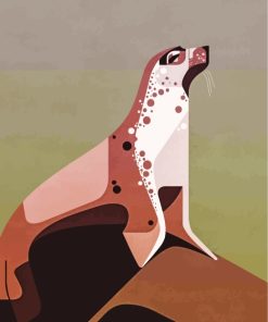 Seal Animal Paint By Numbers