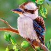 Blue Winged Kookaburra Birds Paint By Numbers