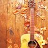 Autumn Acoustic Guitar Paint By Numbers