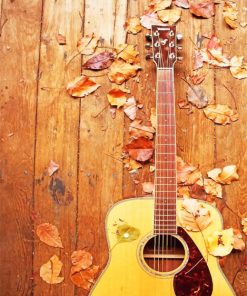 Autumn Acoustic Guitar Paint By Numbers
