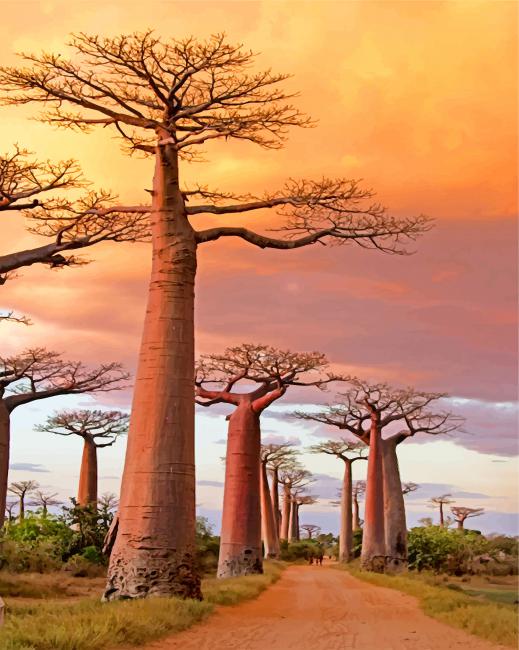 Finalizing Avenue Of Baobabs Landscape Artwork