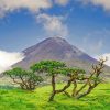 Azores Scenic Landscapes Paint By Numbers